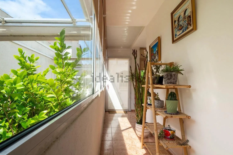 Casa independiente en Barrio Riells