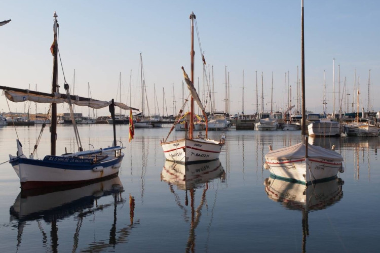 Riells, 126, Port - La Cota - Puig Sec