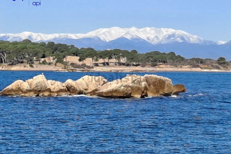 Piso en avenida Riells