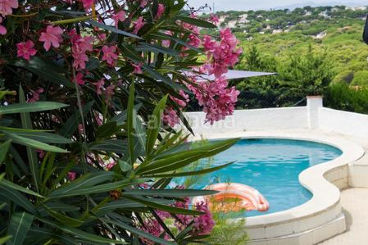 Casa  en cala Montgó con piscina, bonitas vistas y a sólo 180m del mar en Escala (L´)