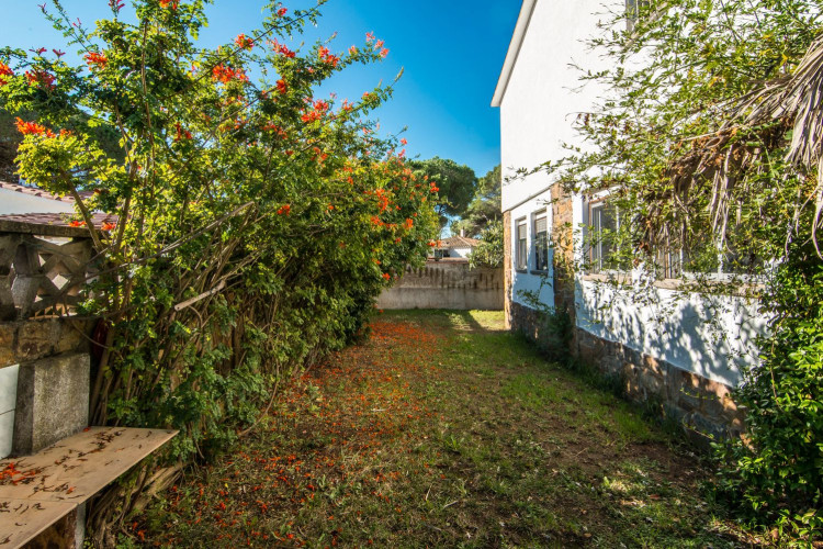 Carrer Olives, 25, Port - La Cota - Puig Sec