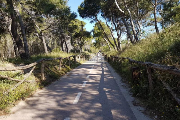 Chalet casa en venta en lescala en Montgó Escala (L´)