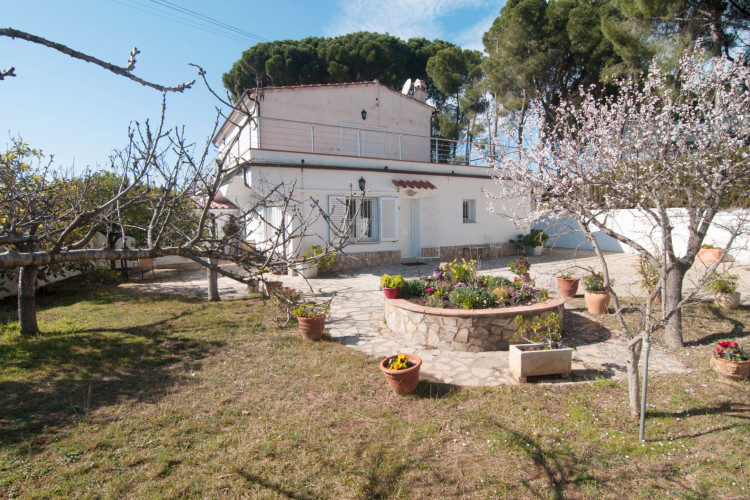 Carrer Barcelona, Riells