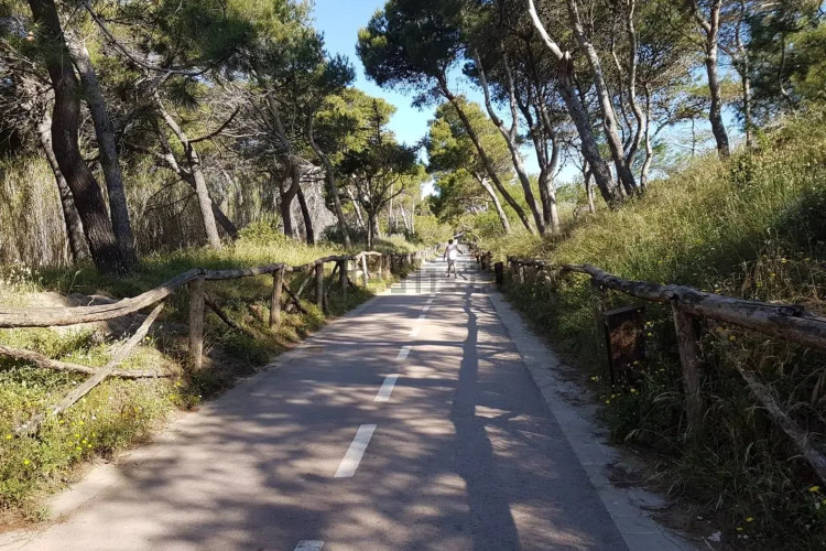 Piso en paseo Mar, 16